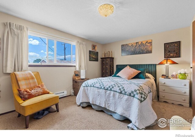 372 Logan St, Walden, CO 80480