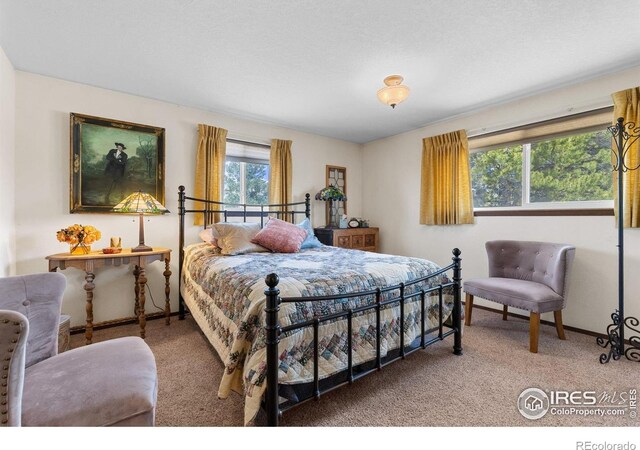 372 Logan St, Walden, CO 80480