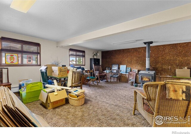 372 Logan St, Walden, CO 80480