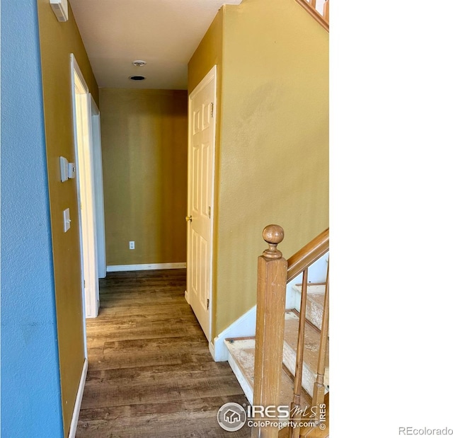 2395 Sandpiper Dr, Lafayette, CO 80026 - corridor with dark wood-type flooring and stairs