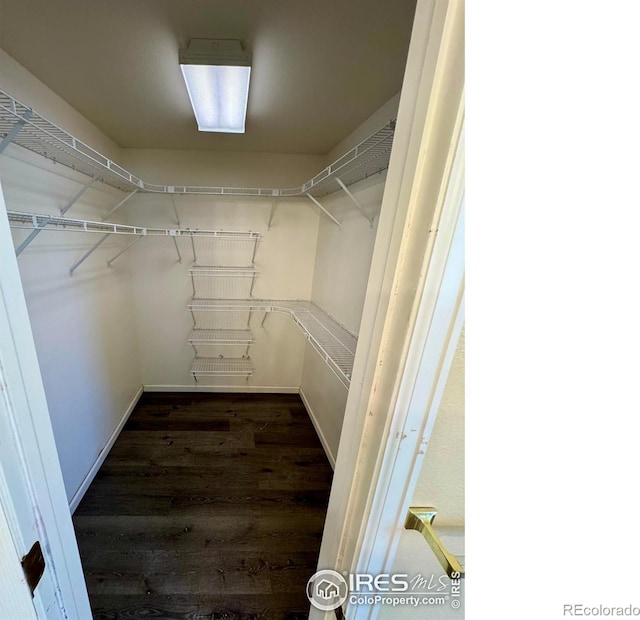 2395 Sandpiper Dr, Lafayette, CO 80026 - walk in closet featuring dark wood-type flooring