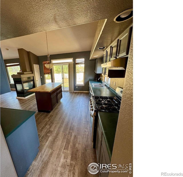 2395 Sandpiper Dr, Lafayette, CO 80026 - kitchen featuring stainless steel gas stove, dark wood finished floors, healthy amount of natural light, butcher block counters, and a textured ceiling