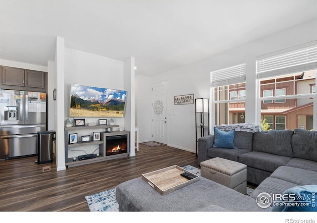 14203 Hop Clover Trl, Parker, CO 80134 - living room featuring dark wood finished floors and a lit fireplace