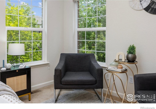 3882 W 118th Pl, Westminster, CO 80031 - sitting room featuring plenty of natural light and a textured wall