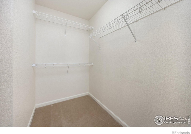 3882 W 118th Pl, Westminster, CO 80031 - walk in closet featuring carpet