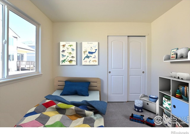 633 87th Ave, Greeley, CO 80634 - photo 6
