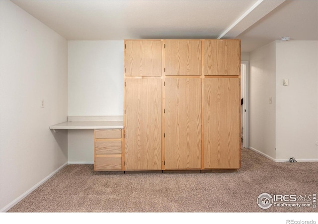 2828 Silverplume Dr Unit S4, Fort Collins, CO 80526 - photo 24