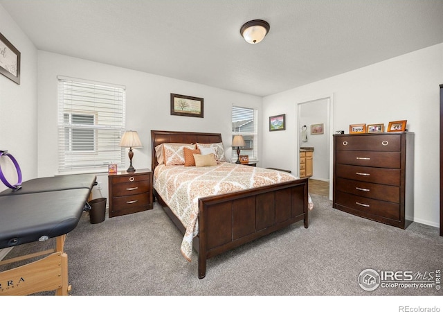 2302 74th Ave, Greeley, CO 80634 - bedroom with carpet flooring and connected bathroom