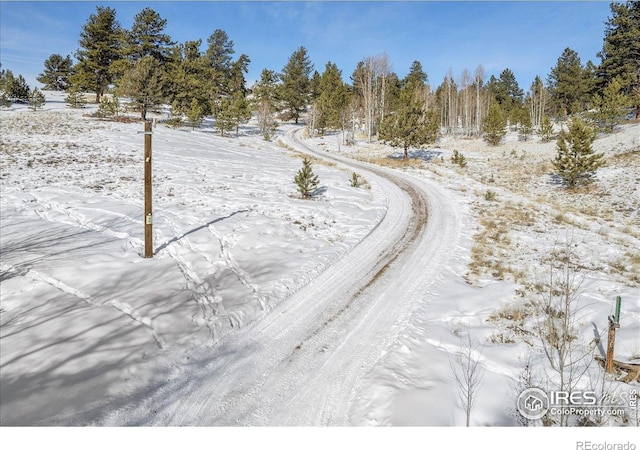 3367 Badger Creek Rd, Hartsel, CO 80449 - view of snowy aerial view