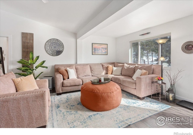 3367 Badger Creek Rd, Hartsel, CO 80449 - living room with wood finished floors and baseboards