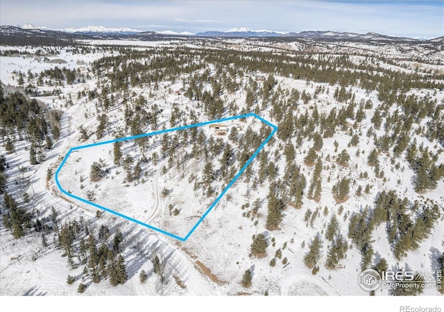 3367 Badger Creek Rd, Hartsel, CO 80449 - snowy aerial view with a mountain view and property parcel outlined