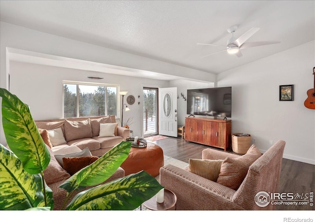 3367 Badger Creek Rd, Hartsel, CO 80449 - living room with wood finished floors, a ceiling fan, and lofted ceiling
