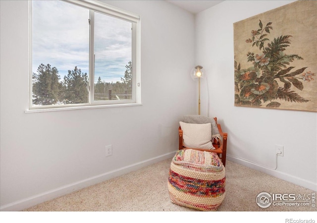 3367 Badger Creek Rd, Hartsel, CO 80449 - living area with carpet floors