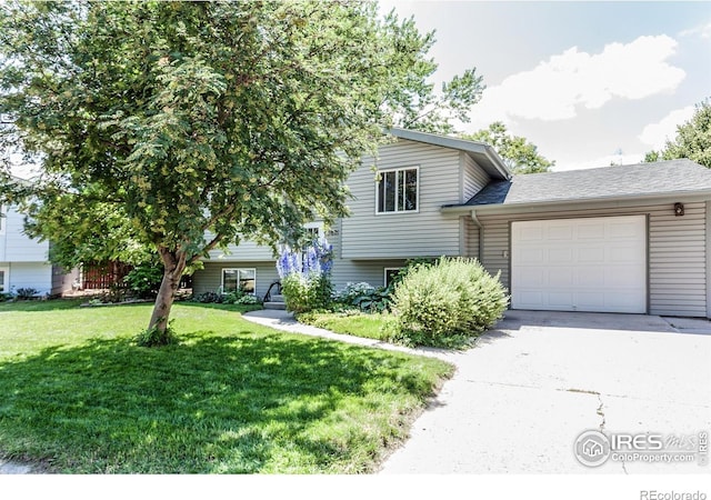 3602 Post Rd, Laporte, CO 80535 - photo 3