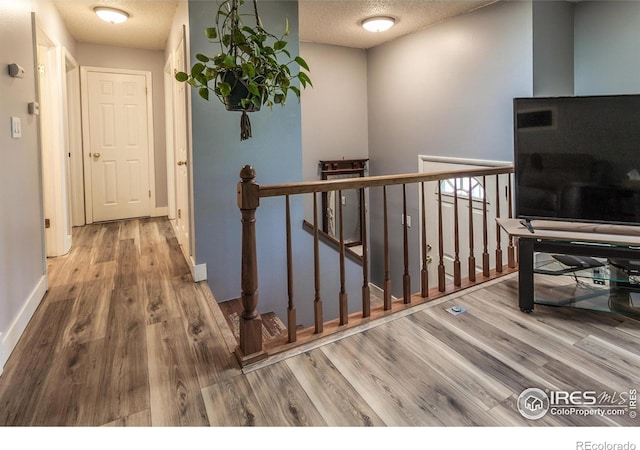 3602 Post Rd, Laporte, CO 80535 - photo 4