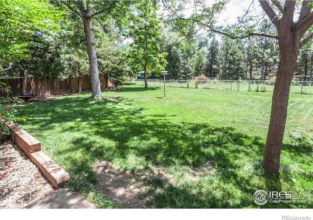 3602 Post Rd, Laporte, CO 80535 - photo 26