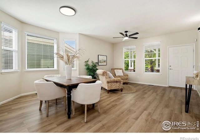 2262 Harvest St, Fort Collins, CO 80528 - dining space featuring light wood finished floors and ceiling fan