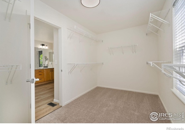 2262 Harvest St, Fort Collins, CO 80528 - spacious closet with light colored carpet and a sink