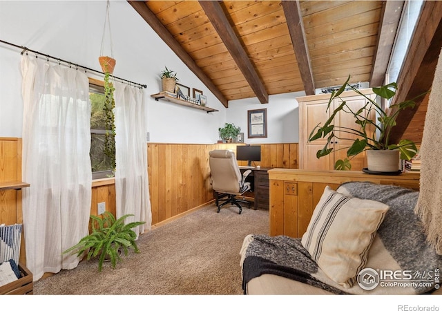 32224 Poudre Canyon Rd, Bellvue, CO 80512 - photo 22