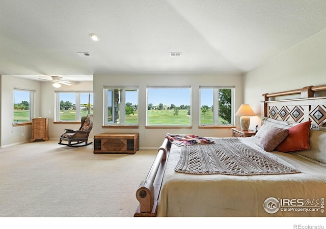 1145 Wyndemere Cir, Longmont, CO 80504 - bedroom with carpet and baseboards