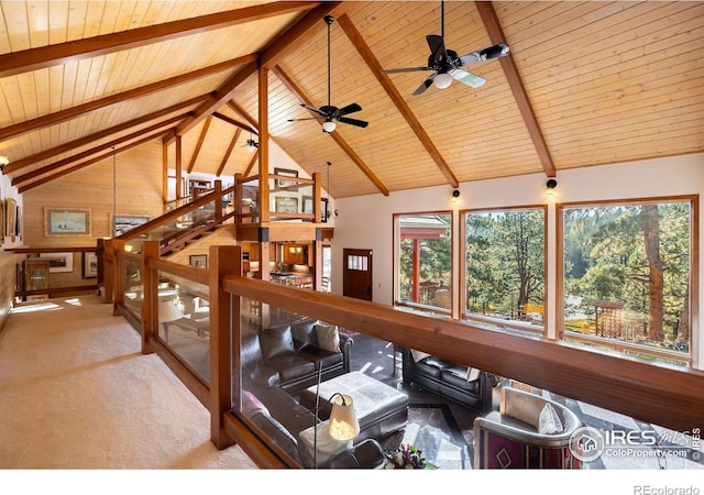 33212 Meadow Mountain Rd, Evergreen, CO 80439 - photo 12