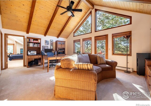 33212 Meadow Mountain Rd, Evergreen, CO 80439 - photo 13