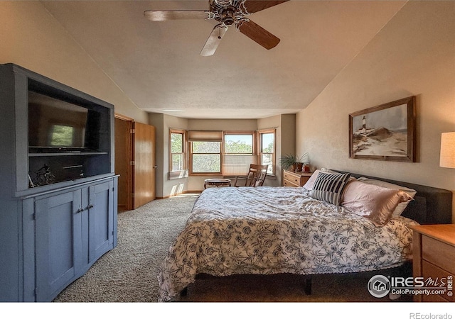 1943 Etton Dr, Fort Collins, CO 80526 - photo 19