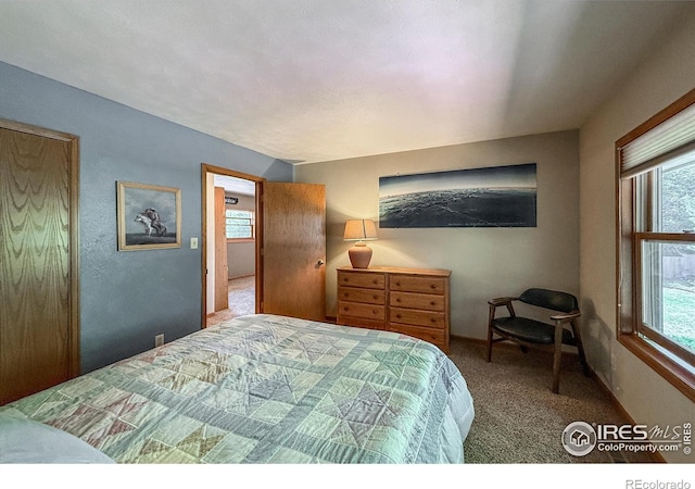 1943 Etton Dr, Fort Collins, CO 80526 - photo 23