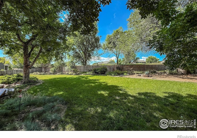 1943 Etton Dr, Fort Collins, CO 80526 - photo 35