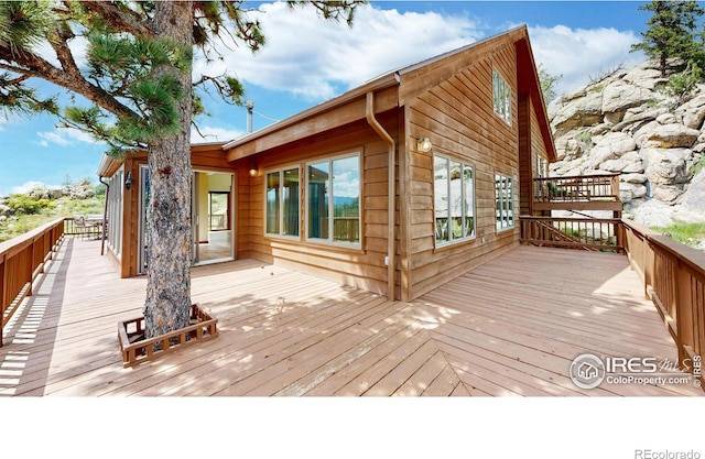 131 Mount Apiatan Ct, Livermore, CO 80536 - photo 28