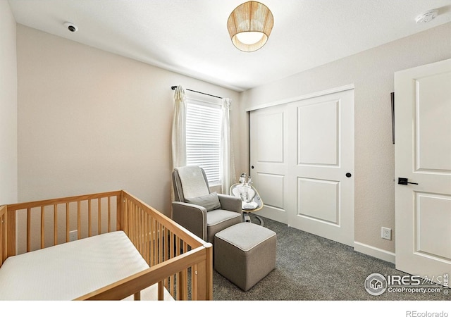 1095 Anker Dr, Erie, CO 80516 - photo 24