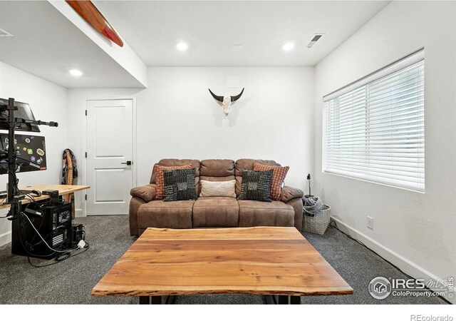 1095 Anker Dr, Erie, CO 80516 - photo 30