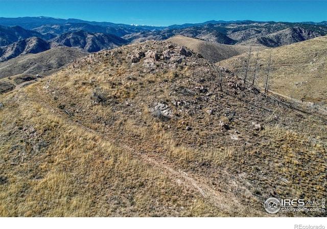 112 Rabbit Ears Ct, Livermore, CO 80536