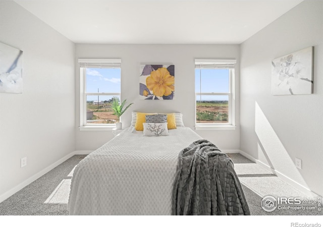 309 Pony Express Trl, Ault, CO 80610 - photo 14