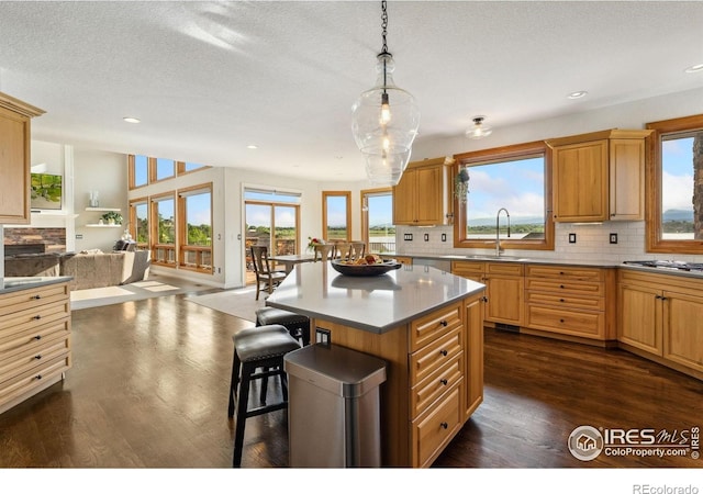 4263 Roaring Fork Dr, Loveland, CO 80538 - photo 8