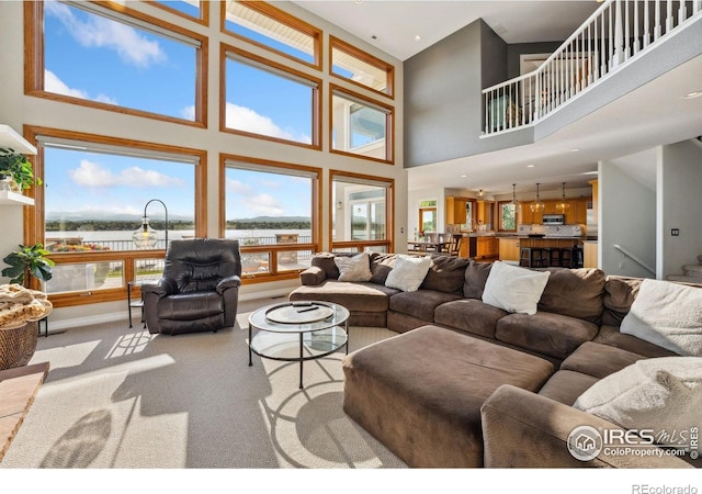 4263 Roaring Fork Dr, Loveland, CO 80538 - photo 17