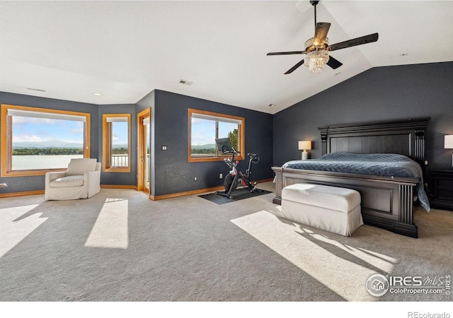 4263 Roaring Fork Dr, Loveland, CO 80538 - photo 18