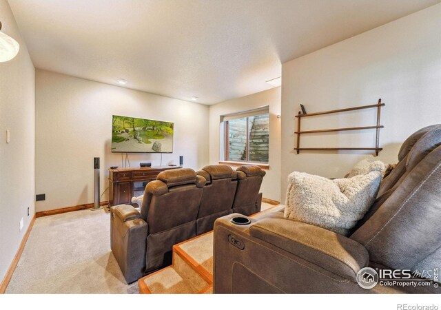4263 Roaring Fork Dr, Loveland, CO 80538 - photo 28