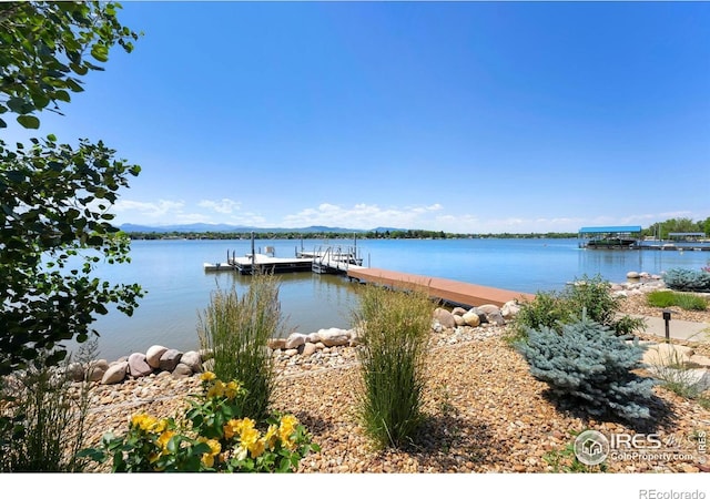 4263 Roaring Fork Dr, Loveland, CO 80538 - photo 38