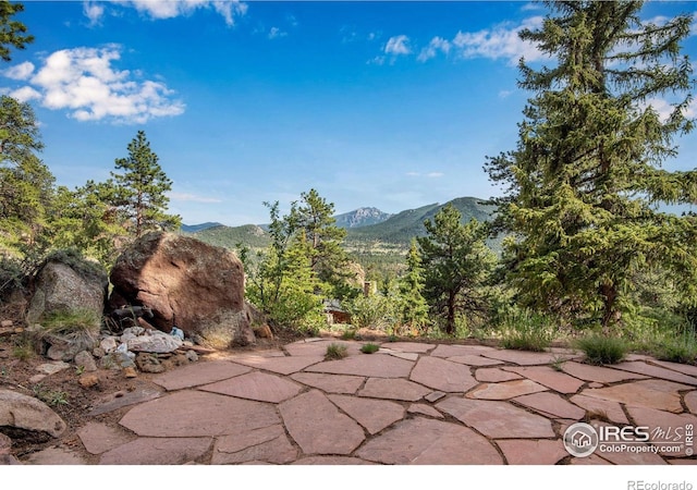 480 Larkspur Rd, Estes Park, CO 80517 - photo 7