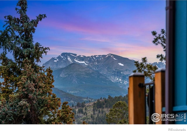 480 Larkspur Rd, Estes Park, CO 80517 - photo 14