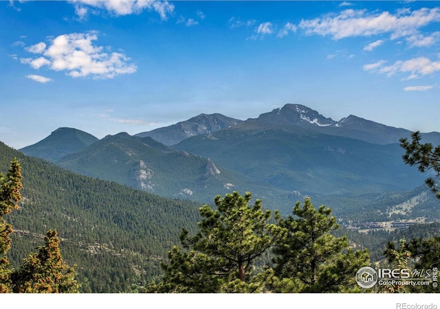 480 Larkspur Rd, Estes Park, CO 80517 - photo 15