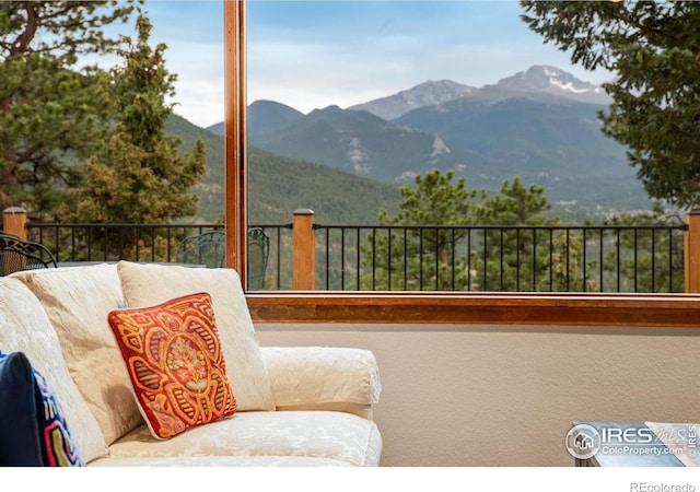 480 Larkspur Rd, Estes Park, CO 80517 - photo 18