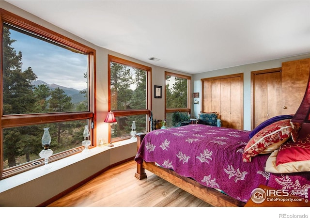 480 Larkspur Rd, Estes Park, CO 80517 - photo 37