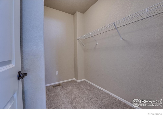 604 Rosedale St, Severance, CO 80550 - spacious closet with carpet flooring