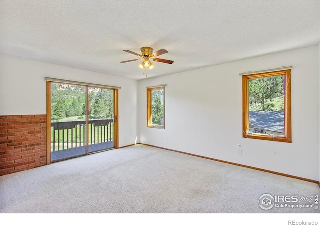 2160 Devils Gulch Rd, Estes Park, CO 80517 - unfurnished room featuring plenty of natural light, carpet flooring, a ceiling fan, and a textured ceiling