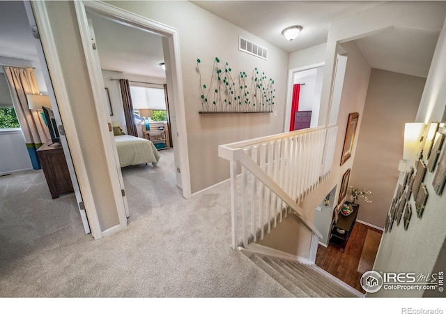 1529 Aster Ct, Superior, CO 80027 - photo 19
