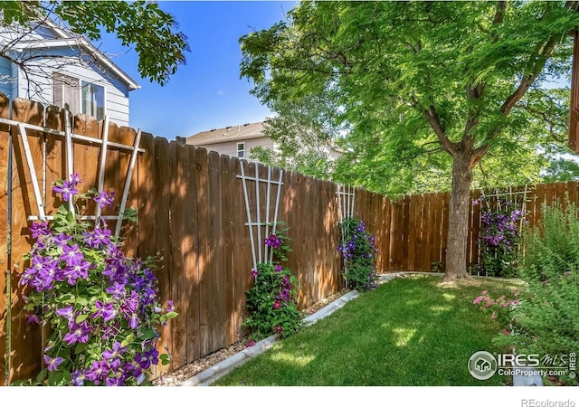 1529 Aster Ct, Superior, CO 80027 - photo 39