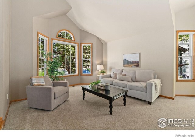 4429 Prairie Trail Dr, Loveland, CO 80537 - photo 4