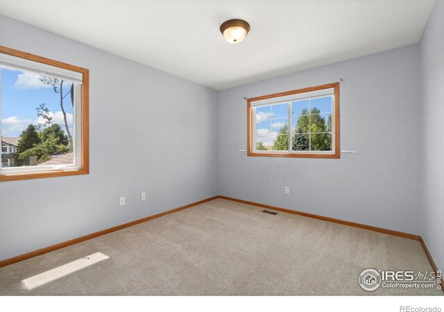 4429 Prairie Trail Dr, Loveland, CO 80537 - photo 28